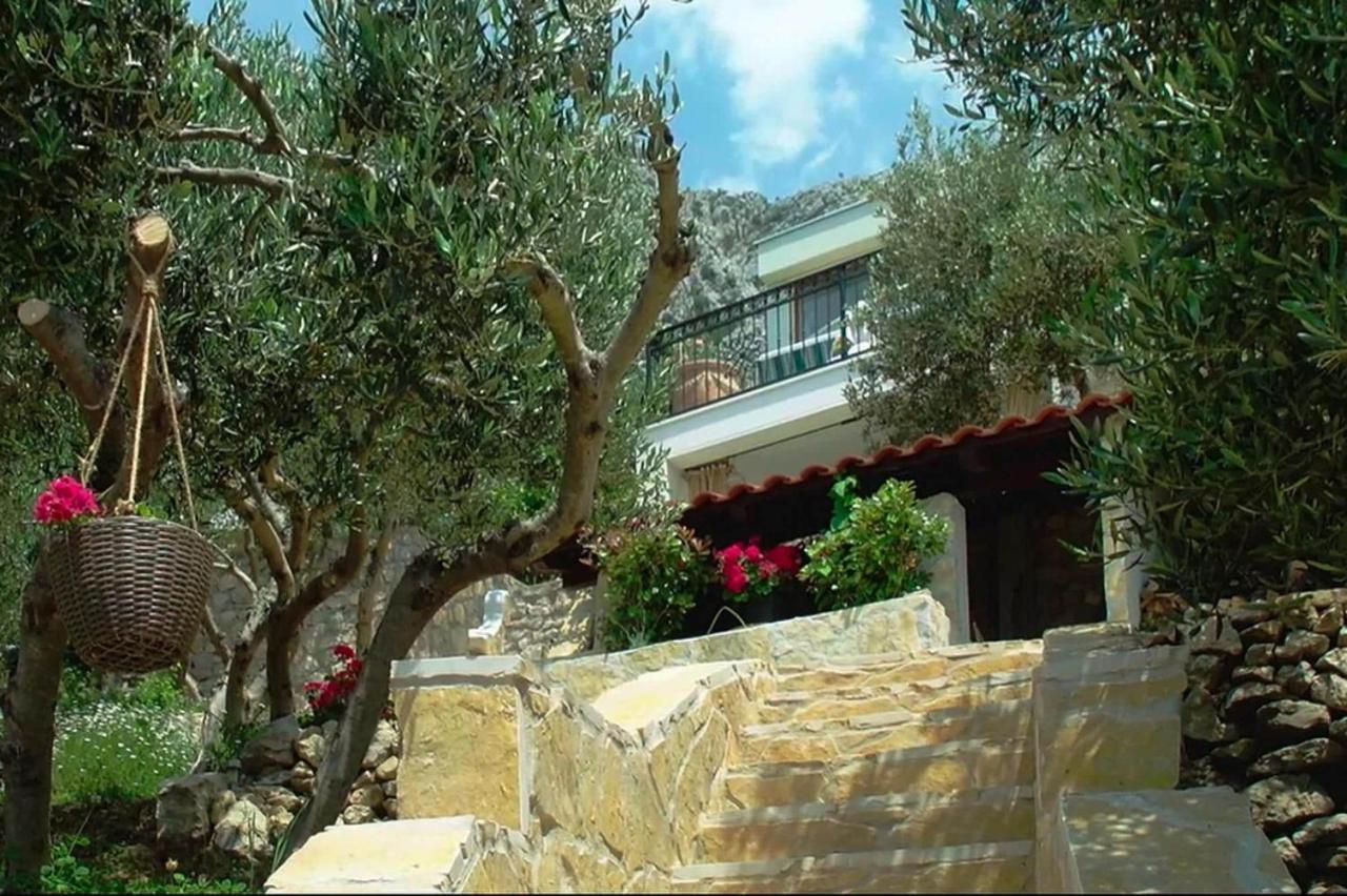 Amare, With Pool And Garden *