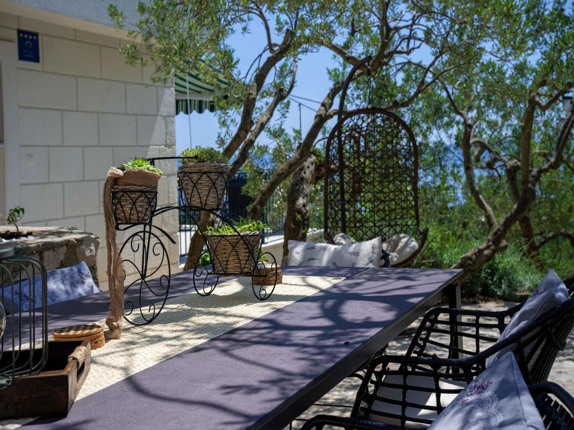 Amare, With Pool And Garden Makarska